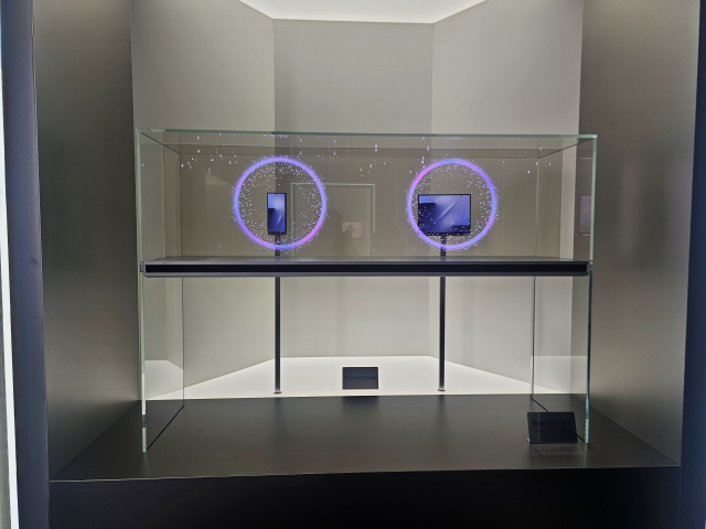 29일 오전 엑스포대공원 내 