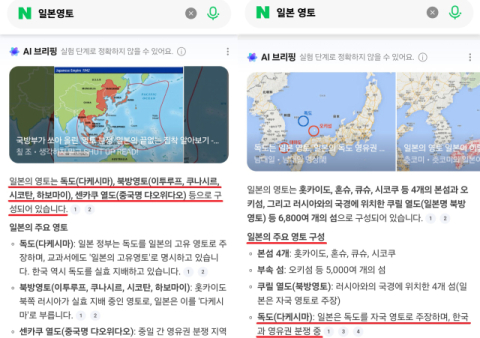 '독도는 일본땅?'…네이버 AI 검색 오류 논란