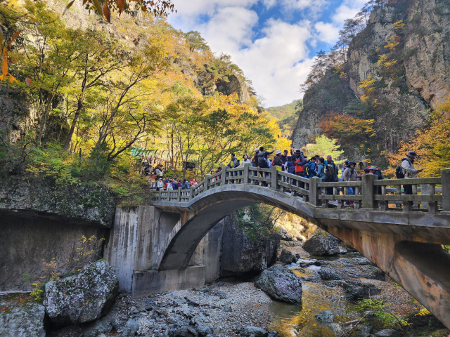 주왕산 학소대에 가을 단풍을 즐기기 위해 많은 관광객이 찾아든 모습. 주왕산국립공원사무소 제공