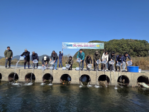 고령군, 치어 13만마리 방류