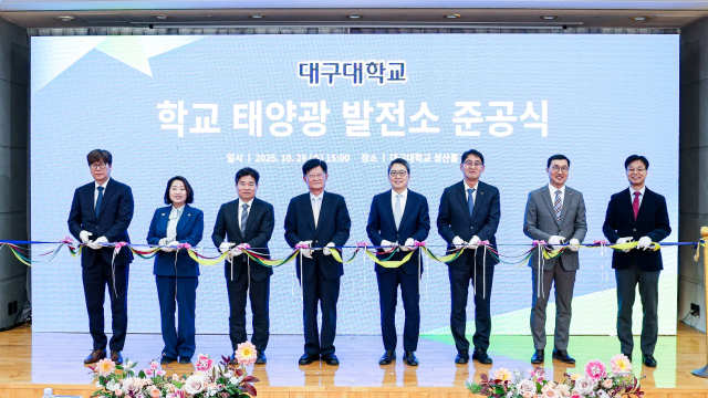 켑코솔라는 지난 29일 