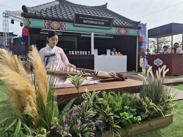 30일 오후 경주APEC CEO서밋이 열리고 있는 경주시 황성동 경주예술의전당 옆 5韓 체험관에서 경제인들이 한국의 문화를 즐기고 있다. 배형욱 기자