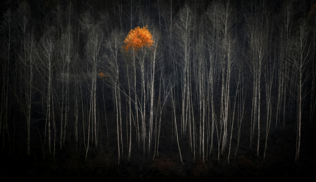 이만우, 자작, 2025.