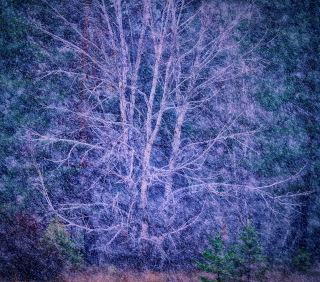 이만우, 자작, 2025.