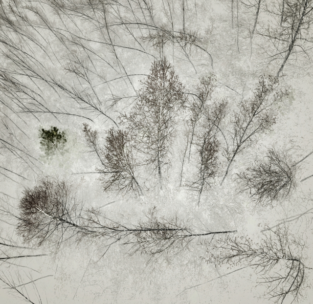 이만우, 자작, 2025.