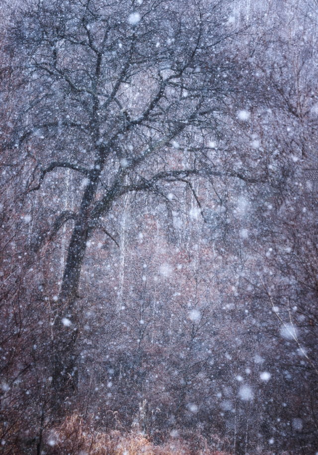 이만우, 자작, 2025.