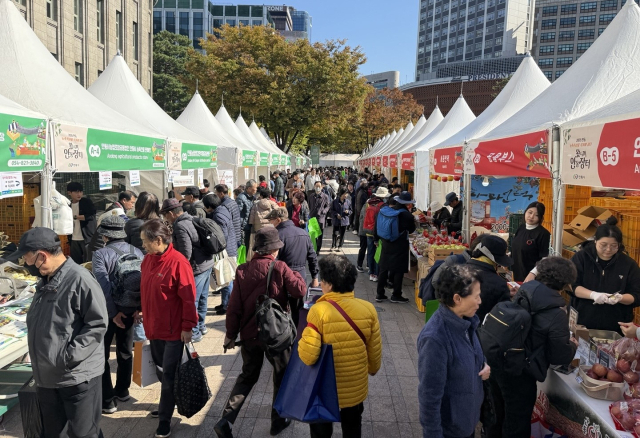 지난달 27일부터 30일 까지 서울광장에서 열린 