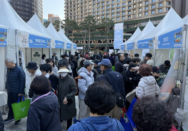 지난달 27일부터 30일 까지 서울광장에서 열린