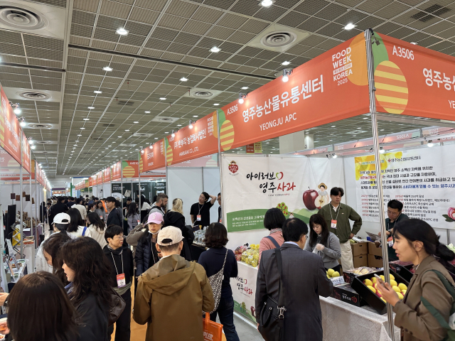 영주시가 2025 푸드위크 코리아 행사장에서 지역 농특산물 홍보 판매 부스를 운영하고 있다. 영주시 제공