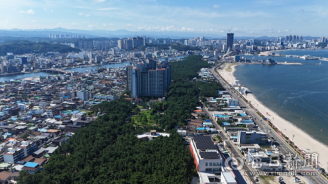 포항 송도솔밭, 산림청 '모범도시숲' 인증