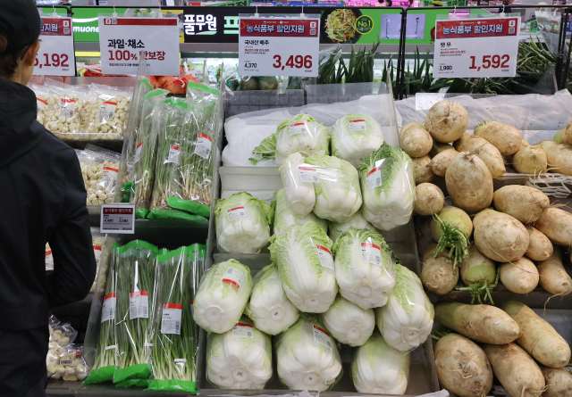 2일 서울의 한 대형마트에서 시민이 장을 보고 있다. 한국물가협회가 김장철을 앞두고 전국 17개 시도의 주요 김장재료 가격을 조사한 결과 4인 가족 김장비용은 전통시장 기준 평균 37만8천860원으로 지난 해 대비 9.6% 하락한 것으로 나타났다. 연합뉴스