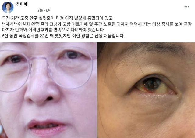 추미애 더불어민주당 국회의원 페이스북