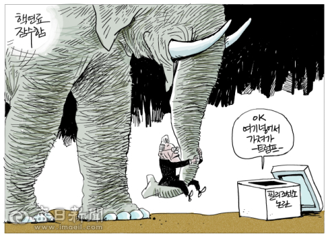 [매일희평] 코끼리를 냉장고도 아닌 아이스 박스에