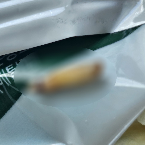 오동통통한 라면 너구리 뜯어보니…오동통통한 애벌레가?