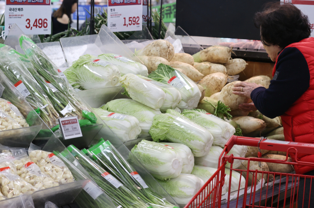 2일 서울의 한 대형마트에서 시민이 장을 보고 있다. 한국물가협회가 김장철을 앞두고 전국 17개 시도의 주요 김장재료 가격을 조사한 결과 4인 가족 김장비용은 전통시장 기준 평균 37만8천860원으로 지난 해 대비 9.6% 하락한 것으로 나타났다. 연합뉴스