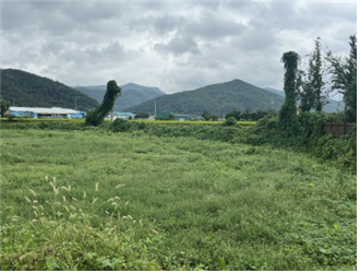 경상북도 경주시 내남면 덕천리 전.