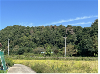 경상북도 경주시 외동읍 석계리 임야.