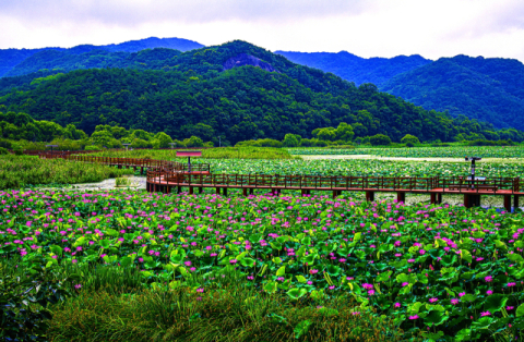 합천 8경 재선정…가야산·해인사·옥전고분군 포함