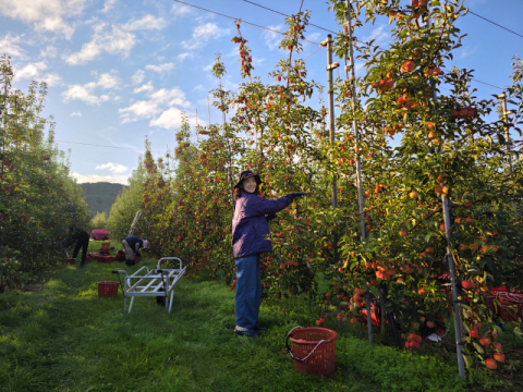 소백들사과농원 이효림 대표, 경북여성정책개발원 통해 '디지털 농업 CEO' 성장