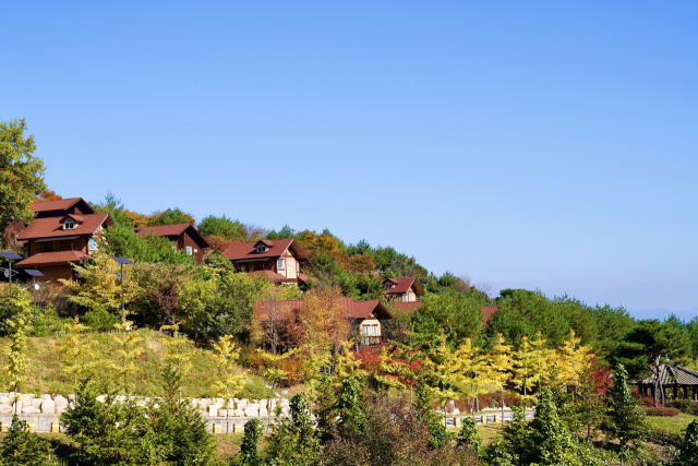 국립산림치유원이 가을 단풍으로 물들다. 국립산림치유원 제공