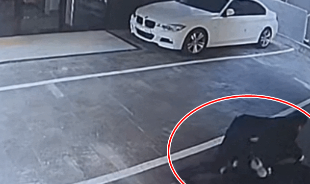 조 씨를 제압하는 시민. 머니투데이 영상 캡처