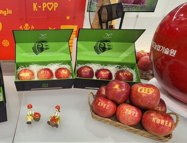 경주 APEC 정상회의에 납품된 문경 감홍사과. 문경시 제공