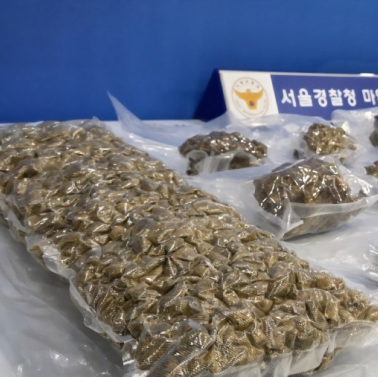 軍 기강 해이 심각…해군 현역병, 태국서 마약 들여오다 적발