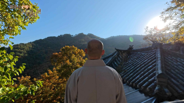 BBS불교방송 TV다큐멘터리 