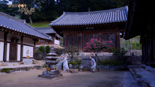 BBS불교방송 TV다큐멘터리 