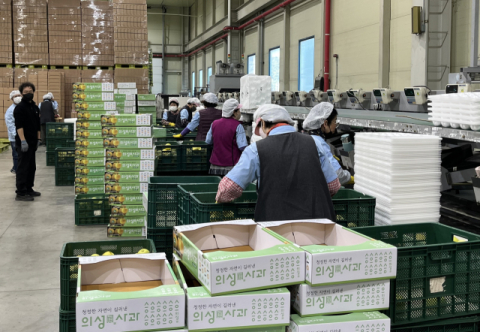 의성군, 유통 체계 혁신과 고도화로 탄탄한 농업 경쟁력 다진다