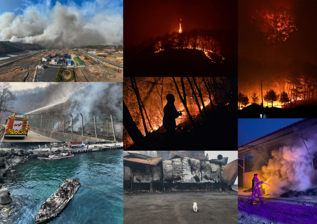 경북 산불의 흔적 모음. 사진기자, 소방관, 주민 경북 산불 현장 사진.