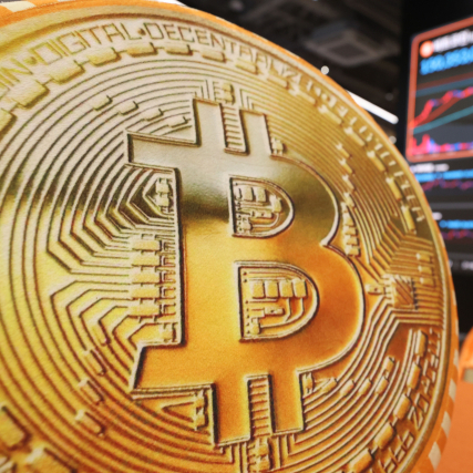 실험하려 샀는데 1000배 폭등…스페인 연구소 비트코인 대박