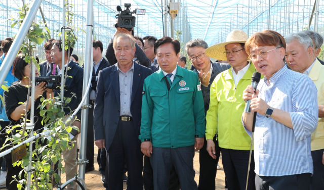 안동시는 디지털 농업, 청년농업인 육성, 친환겨 ㅇ농업 전환, 농업 융복합 산업 등 농업 활성화를 위한 4대축 정책 추진에 나서고 있다. 안동시 제공