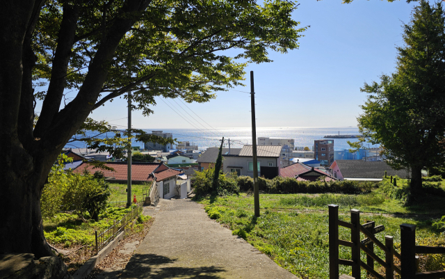 구룡포 공원 언덕마루에 서면 반짝이는 구룡포 바다가 한눈에 들어온다. 넉넉한 바다의 풍경 어딘가에서 용이 승천할 기세다.
