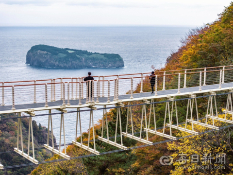 [포토뉴스]울릉도 오색단풍 물는 산 계곡에 준공한 '울릉울렁다리' 