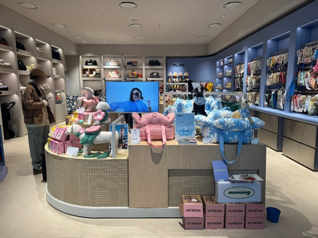 사진= 모몽 제공