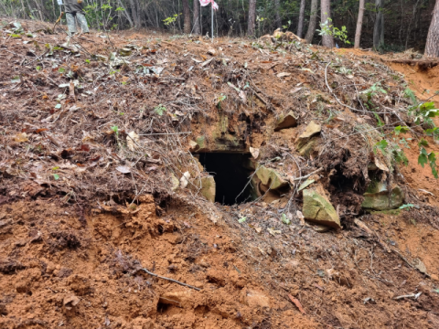 고령군 지산동 704호분, '신라계 횡혈식 석실묘' 확인