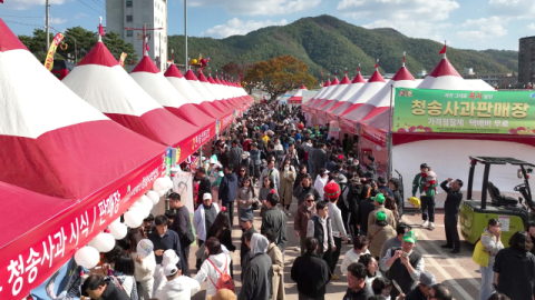 청송사과축제, 사과 판매 10억 원 돌파…역대 최대 실적