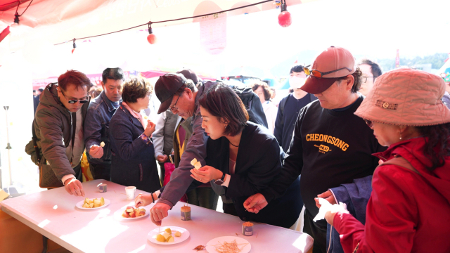 지난달 29일부터 2일까지 청송군 청송읍 용전천 일원에서 제19회 청송사과축제가 열렸다. 축제에는 많은 관광객이 방문해 막 수확한 청송사과의 맛을 보았다. 청송군 제공