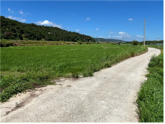 경상북도 경주시 외동읍 연안리 답.