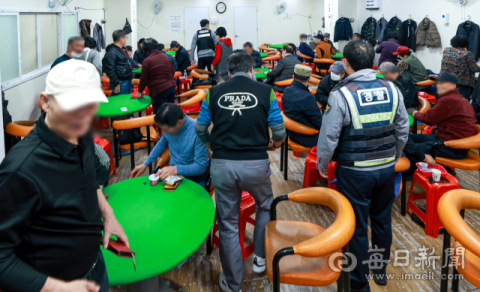 치매센터·쉼터 간판 단 도박장 '활개'…