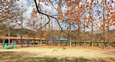 영천 나무와중학교,  '2025 국제 유네스코 학교' 선정