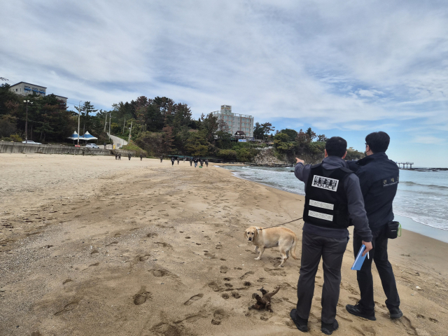 12일 오후 포항시 북구 흥해읍 오도1리 간이해수욕장 일대에서 민관군경 합동 마약 의심 물체 수색 작전이 펼쳐졌다. 배형욱 기자