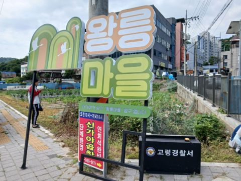 알록달록 벽화…고령 '왕릉마을' 관광지 탈바꿈