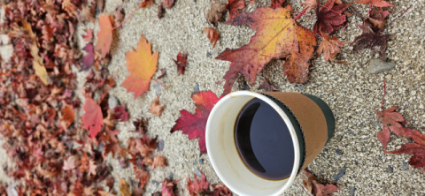 [문화식객 이춘호의 미각기행] 가을의 미로