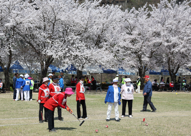 영양군은 고령화 사회 속 군민들의 복지 확대를 위해 다양한 정책을 펼치고 있다. 사진은 영양군민들이 게이트볼 대회에 참여한 모습. 영양군 제공