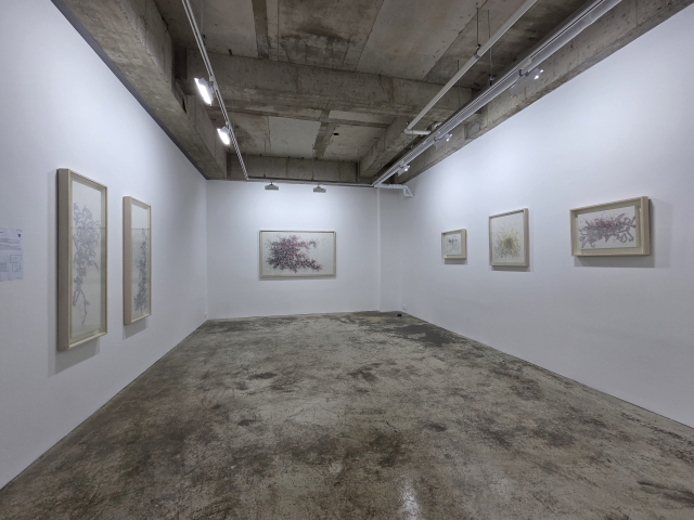 갤러리 팔조 전시장 전경. 갤러리 팔조 제공