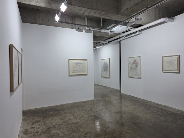 갤러리 팔조 전시장 전경. 갤러리 팔조 제공