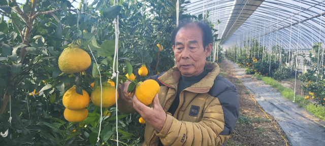 김종기 금종농산 대표.