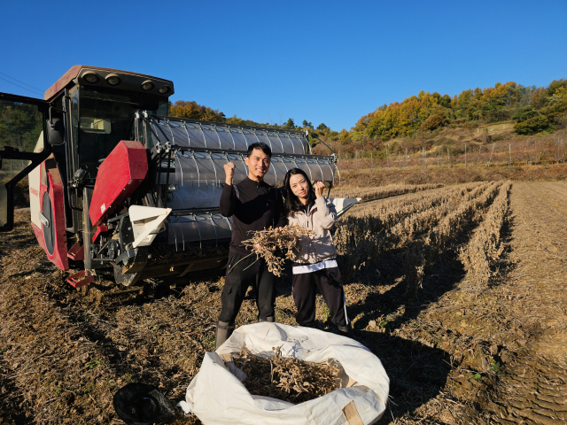 상주시 청리면으로 귀농한 윤지미( 41·여) 씨가 먼저 귀농한 남동생과 수확한 콩을 보여주고 있다. 윤영민 기자